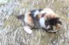 deborahf0323168202629_small.jpg