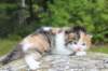 deborahf032316820262_small.jpg