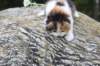 deborahf0323168202630_small.jpg