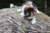 deborahf0323168202631_small.jpg