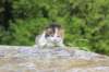deborahf0323168202633_small.jpg