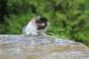deborahf0323168202634_small.jpg