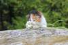 deborahf0323168202635_small.jpg