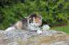deborahf0323168202638_small.jpg