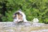 deborahf0323168202640_small.jpg