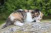 deborahf032316820265_small.jpg