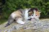 deborahf032316820266_small.jpg