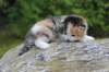 deborahf032316820267_small.jpg