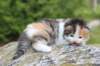deborahf032316820268_small.jpg