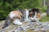 deborahf032316820269_small.jpg