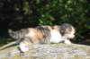 deborahsibf0323158202616_small.jpg
