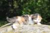 deborahsibf0323158202617_small.jpg
