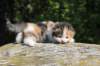 deborahsibf0323158202624_small.jpg