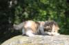 deborahsibf0323158202628_small.jpg