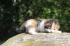 deborahsibf0323158202630_small.jpg