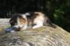 deborahsibf0323158202647_small.jpg