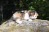 deborahsibf0323158202648_small.jpg