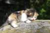 deborahsibf0323158202671_small.jpg