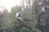 dinah115viikkoa1710202626_small.jpg