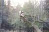 dinah115viikkoa1710202627_small.jpg