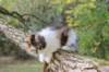 dinah85viikkoa2892620_small.jpg