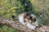 dinah85viikkoa2892621_small.jpg
