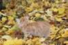 dorimilo85viikkoa28926103_small.jpg