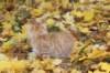 dorimilo85viikkoa28926104_small.jpg