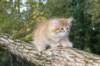 dorimilo85viikkoa2892676_small.jpg
