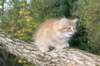 dorimilo85viikkoa2892677_small.jpg