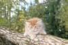 dorimilo85viikkoa2892679_small.jpg