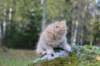 dorimilo85viikkoa289268_small.jpg