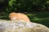 dorid24158202615_small.jpg