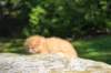 dorid24158202616_small.jpg