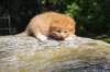 dorid24158202650_small.jpg
