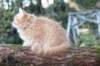 dov115viikkoa1710202628_small.jpg