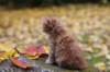 dov85viikkoa2892630_small.jpg