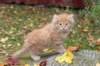 dov85viikkoa2892650_small.jpg
