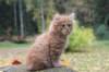 dov85viikkoa2892659_small.jpg