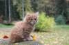 dov85viikkoa2892660_small.jpg