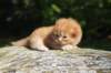 dovd24158202624_small.jpg