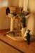 img_6330_small.jpg