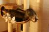 img_6333_small.jpg