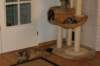 img_6358_small.jpg