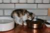 img_6367_small.jpg