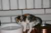 img_6368_small.jpg