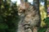 img_6632_small.jpg