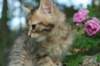 img_6635_small.jpg