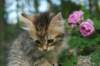 img_6636_small.jpg
