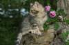 img_6637_small.jpg